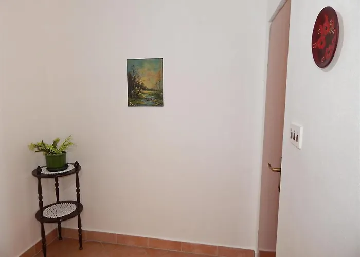 Apartment Rajko